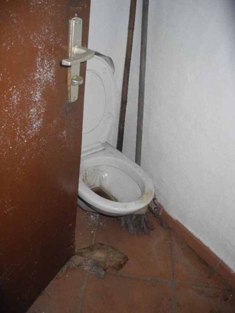 foto 9