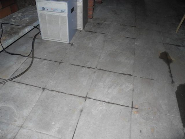 foto 42