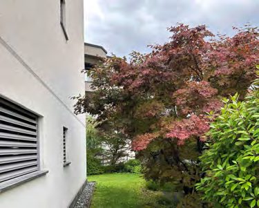 foto 84