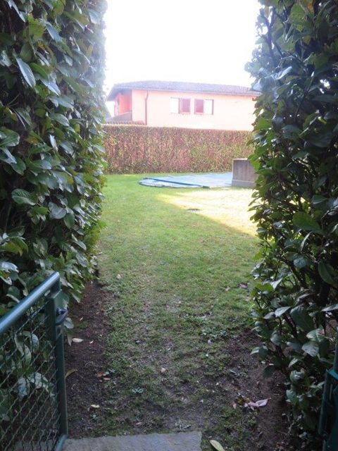 foto 53