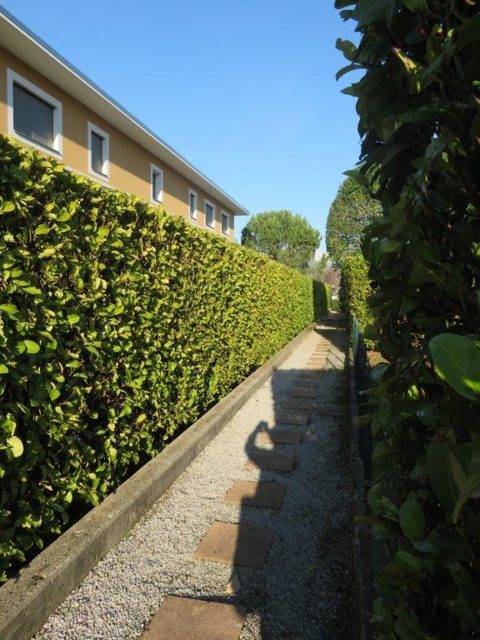 foto 59