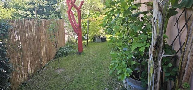 foto 36