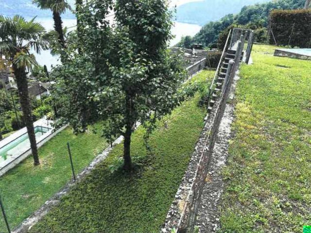 foto 20