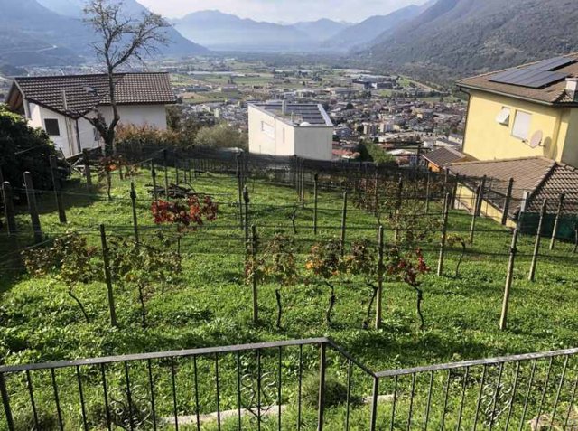 foto 11