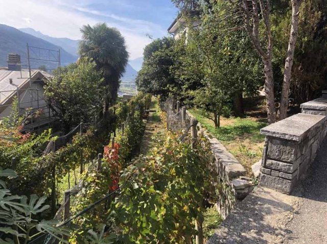 foto 16