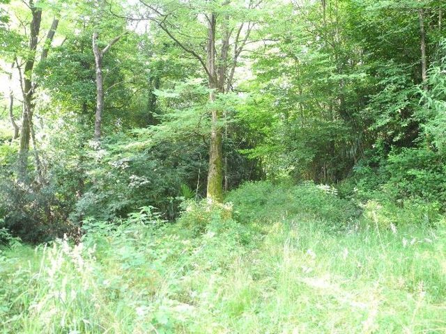 foto 13