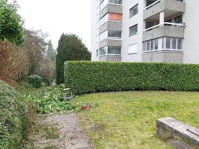 foto 43