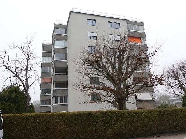 foto 45