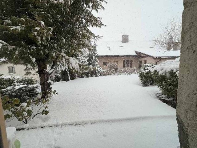 foto 8